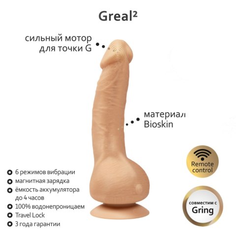 Gvibe Greal 2 Flesh