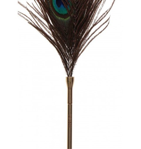 Taboom Dona Peacock Tickler