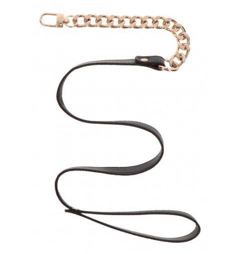 Taboom Dona Statement Collar and leash