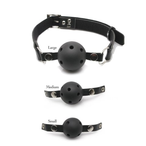 Pipedream Fetish Fantasy Series Ball Gag Training System