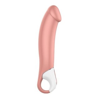 Satisfyer Vibes Master Nature