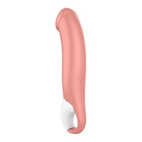 Satisfyer Vibes Master Nature